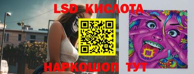 Альфа ПВП Кандалакша