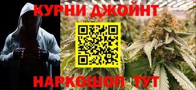 Альфа ПВП Кандалакша