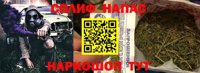 Альфа ПВП Кандалакша
