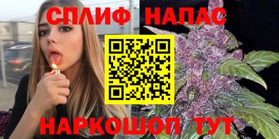 Альфа ПВП Кандалакша